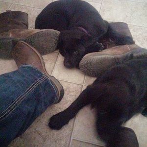 Meet your Posher, David